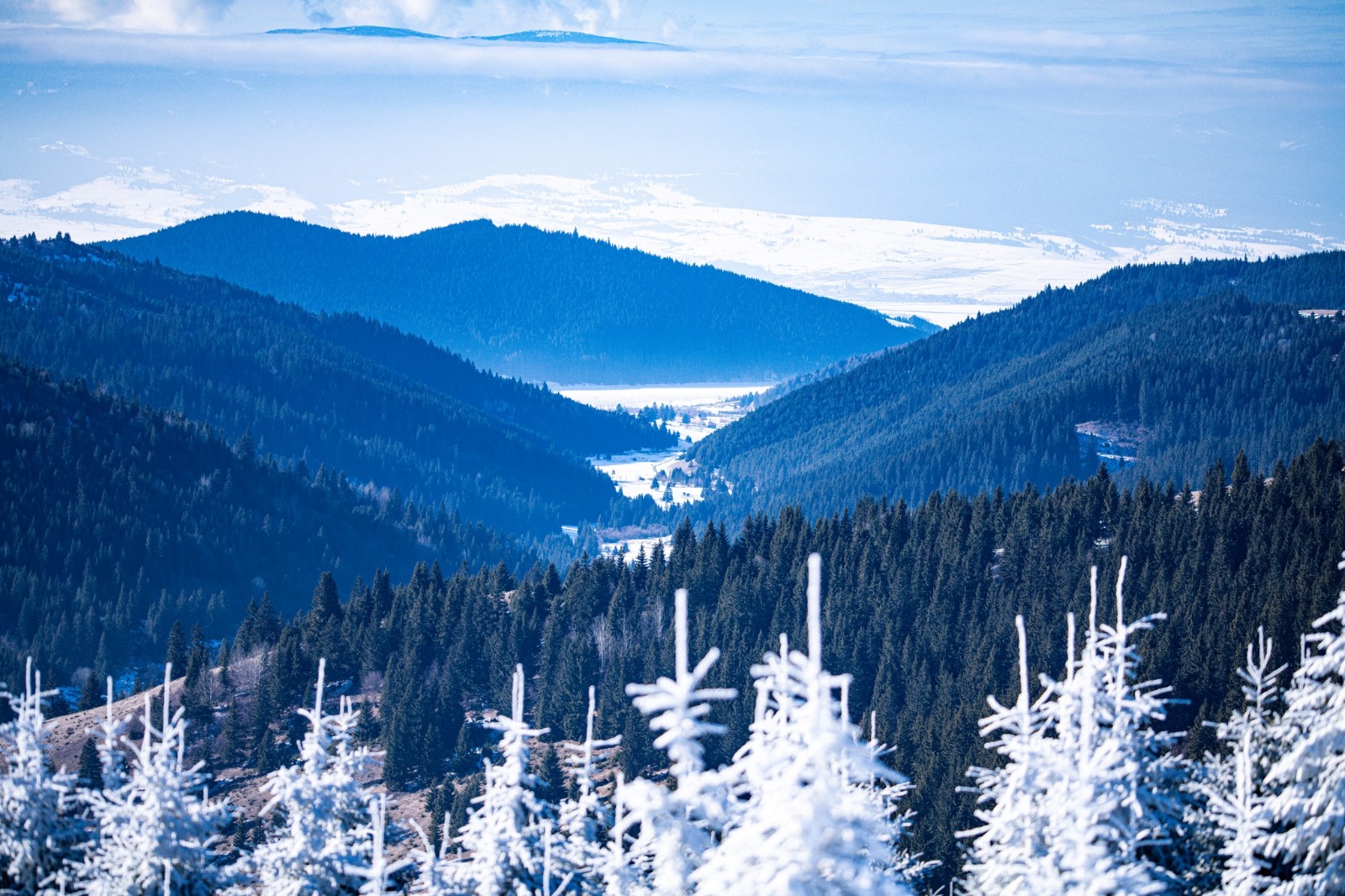 Hargita megye újra bemutatkozik Budapesten